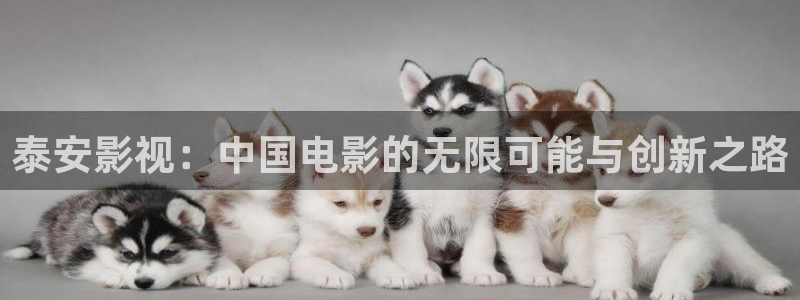 猎罪图鉴在线观看免费观看完整版星辰影院