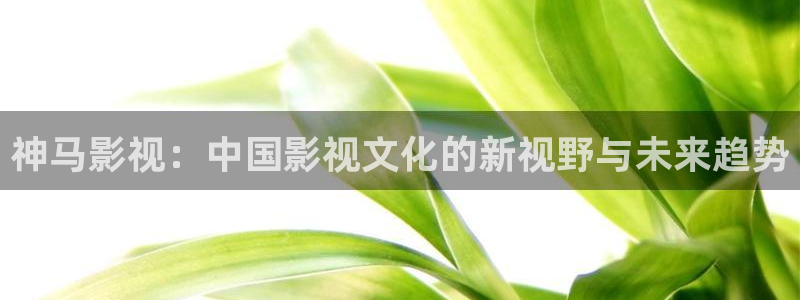 狂飙星辰影院在线观看全集免费观：神马影视：中国影视文化的新视野与未来趋势