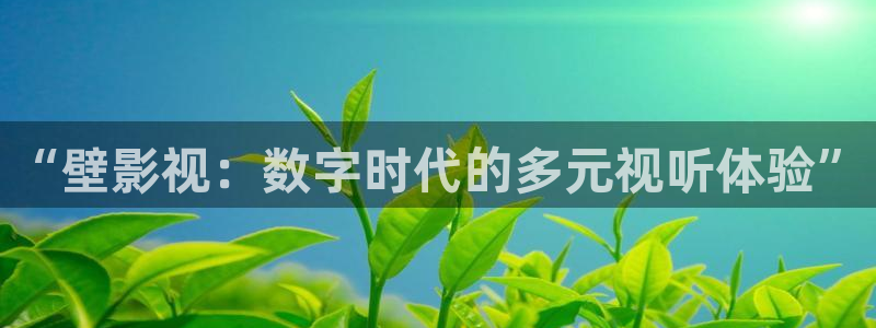 全职法师星辰影院